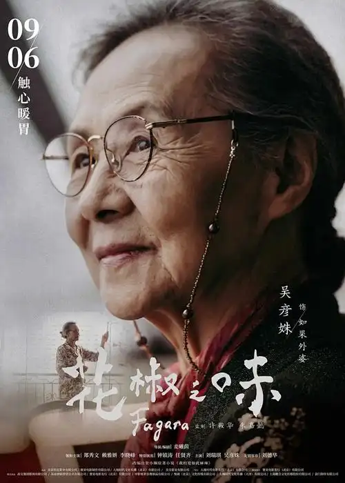 纸鸢少年 青春动画